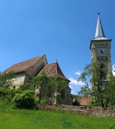 Nemșa (14)